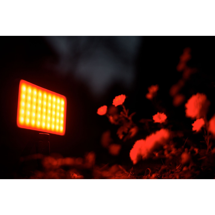 NEWELL Lampa RGB-W RGB-W Rangha