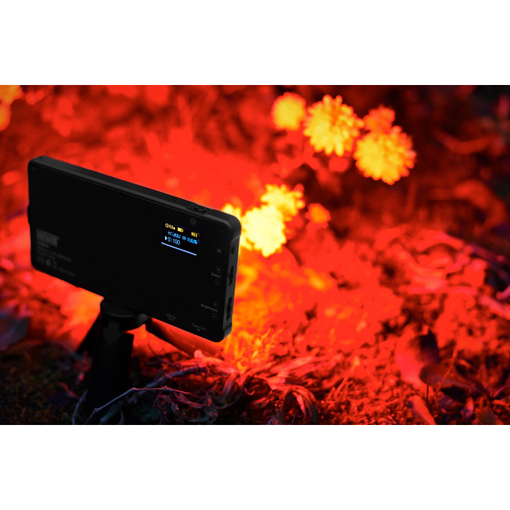 NEWELL Lampa RGB-W RGB-W Rangha
