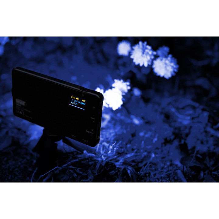 NEWELL Lampa RGB-W RGB-W Rangha