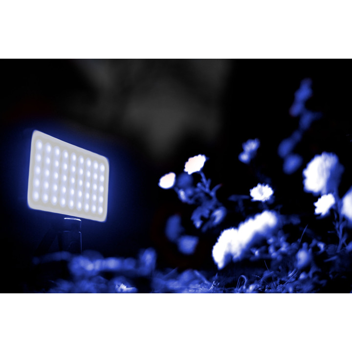 NEWELL Lampa RGB-W RGB-W Rangha