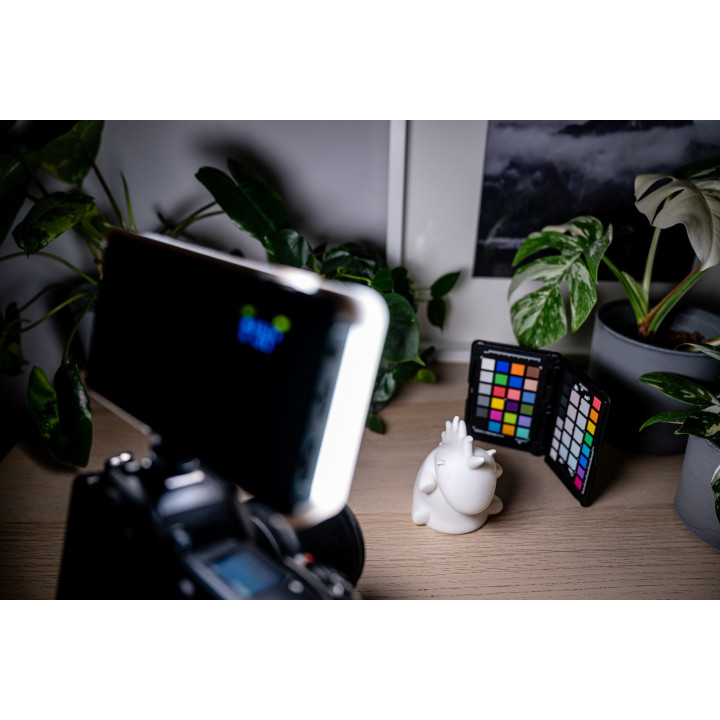NEWELL Dyfuzor do lampy LED RGB-W Rangha
