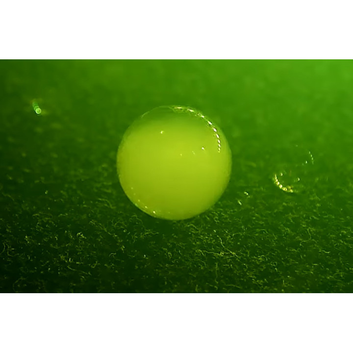 LIGHT4ME FOG BUBBLE LED wytwornica dymu + baniek mydlanych