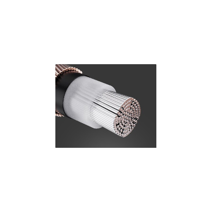 FiiO LR-RCA5S Kabel koncentryczny RCA do cyfrowego audio 20c