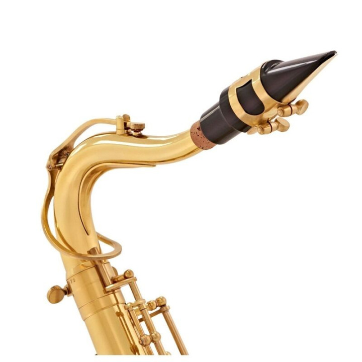 V-TONE TS 100 saksofon tenorowy z futeralem zestaw