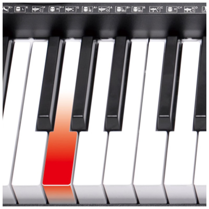 V-TONE VK 500-61L keyboard klawisze organy dla dzieci do nau