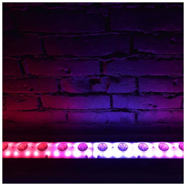 CHROMATEQ CLUB 512 sterownik DMX interfejs + pilot