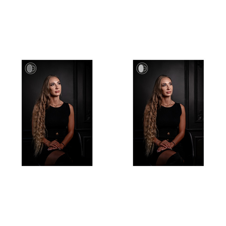NEWELL NL4394 Softbox paraboliczny 65 cm