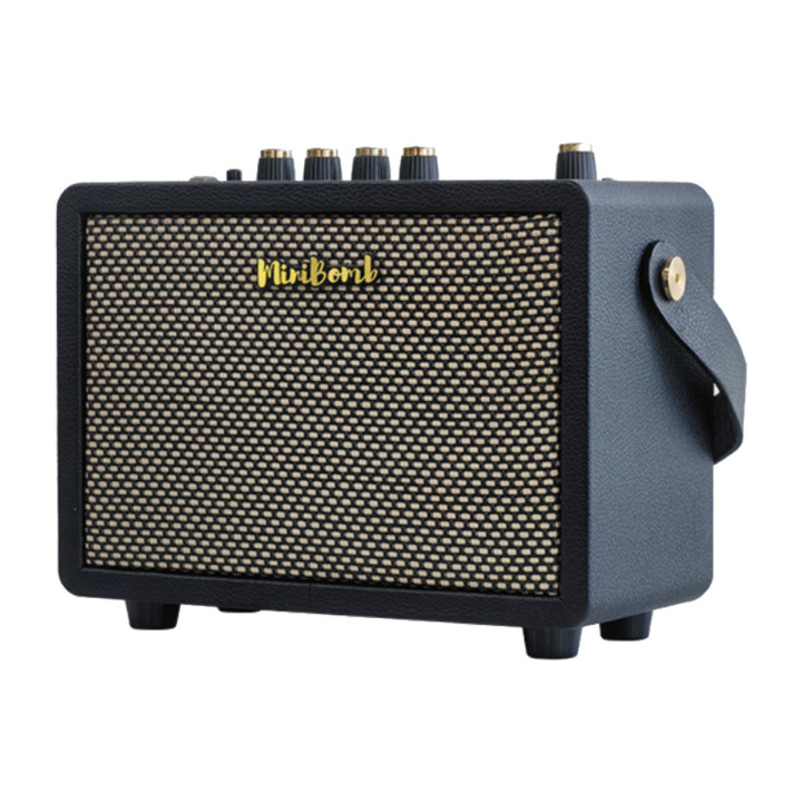 DK Technology iG-10Pro Wzmacniacz do gitary elektrycznej