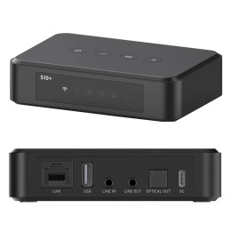 ARYLIC S10+ odtwarzacz sieciowy Wi-Fi Bluetooth