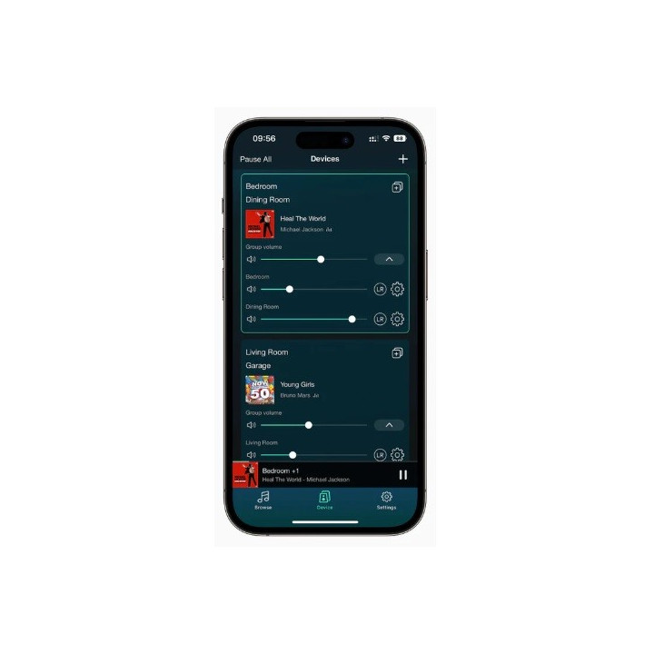 ARYLIC S10+ odtwarzacz sieciowy Wi-Fi Bluetooth