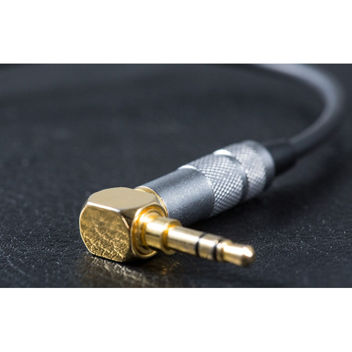 HiFiMAN RE2000 Pro Gold Sluchawki douszne