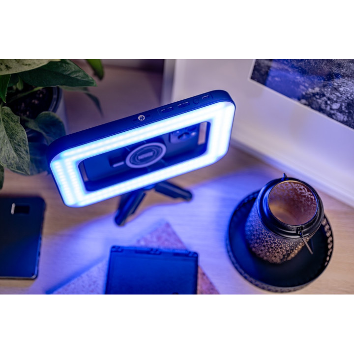 NEWELL NL4950 Lapa LED Freya