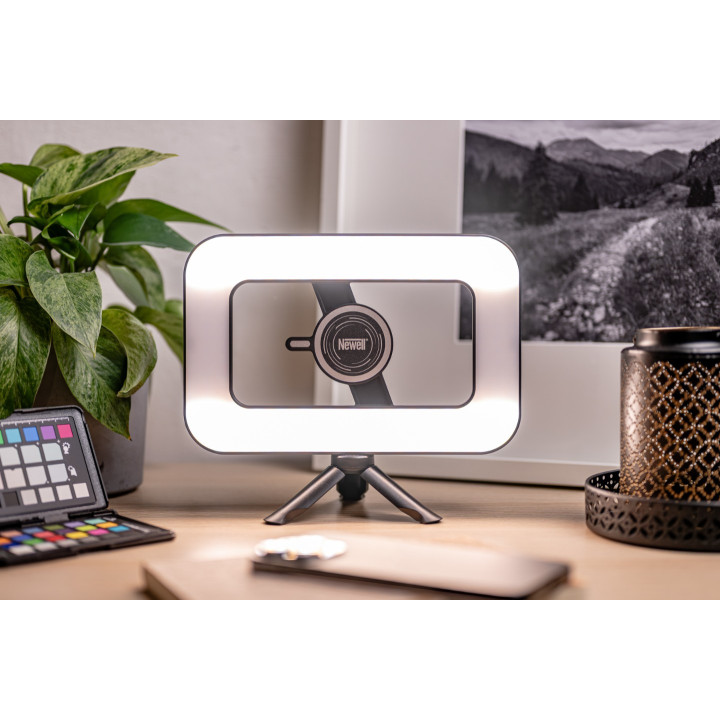 NEWELL NL4950 Lapa LED Freya