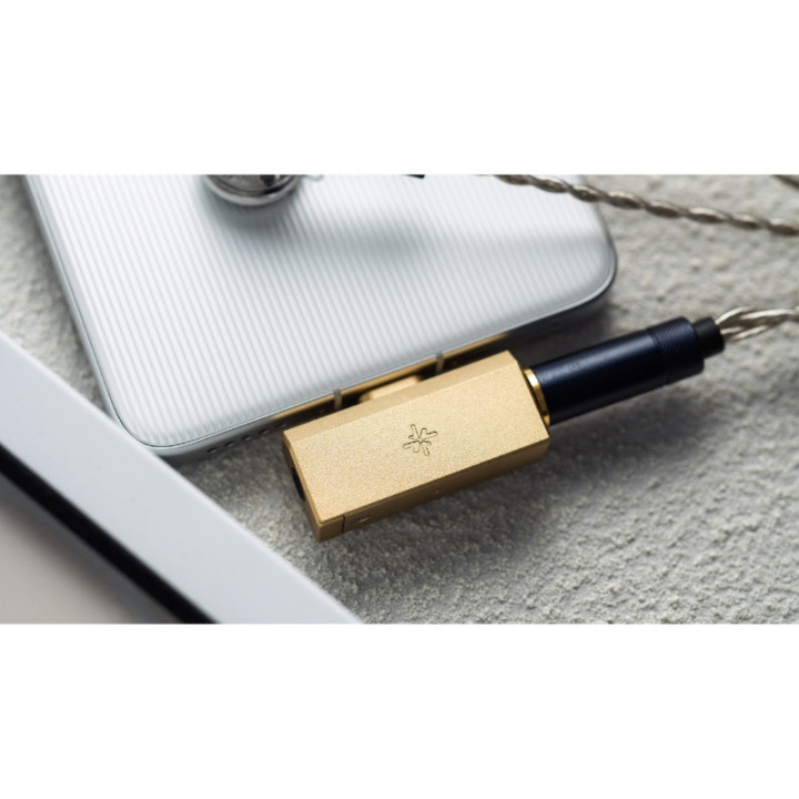 FiiO x SNOWSKY Tiny A Wzmacniacz słuchawkowy z DAC USB-C + 3.5mm port Złoty