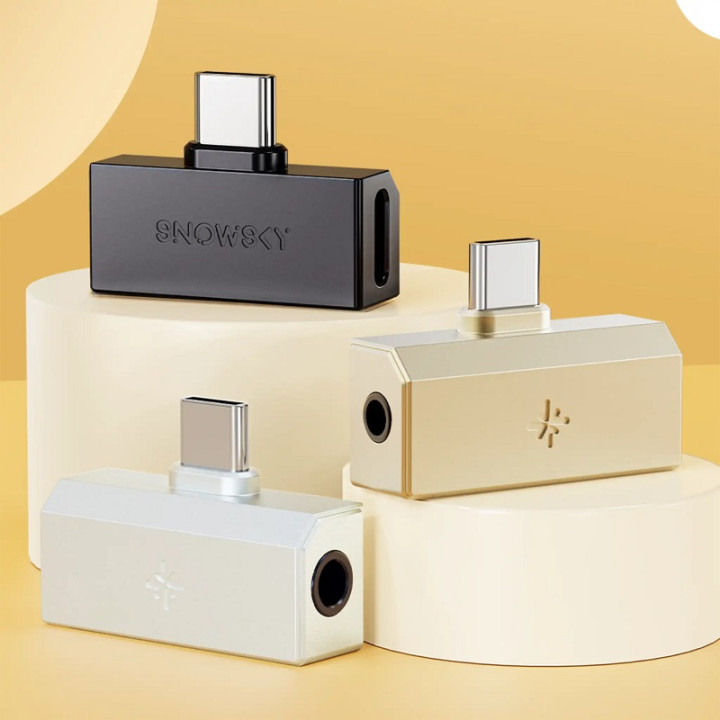 FiiO x SNOWSKY Tiny A Wzmacniacz słuchawkowy z DAC USB-C + 3.5mm port Złoty