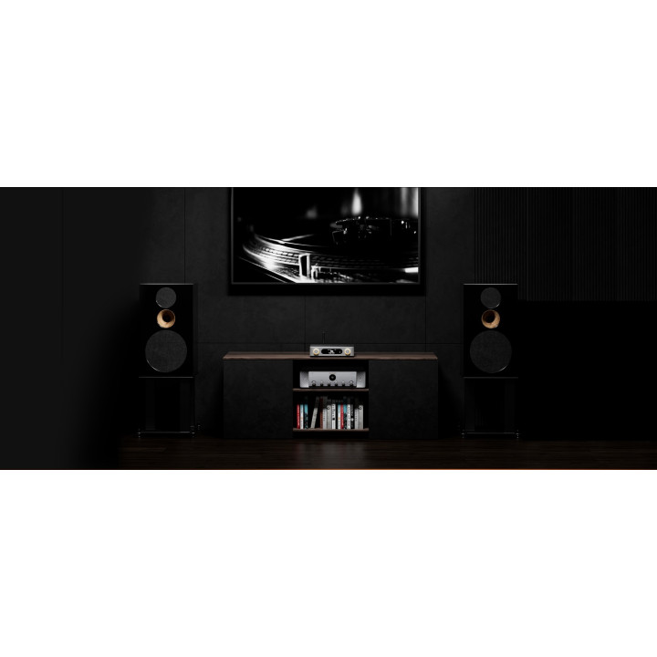 FiiO BR15 R2R Odbiornik bluetooth R2R HI-RES czarny