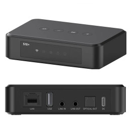 ARYLIC S10+ odtwarzacz sieciowy Wi-Fi Bluetooth