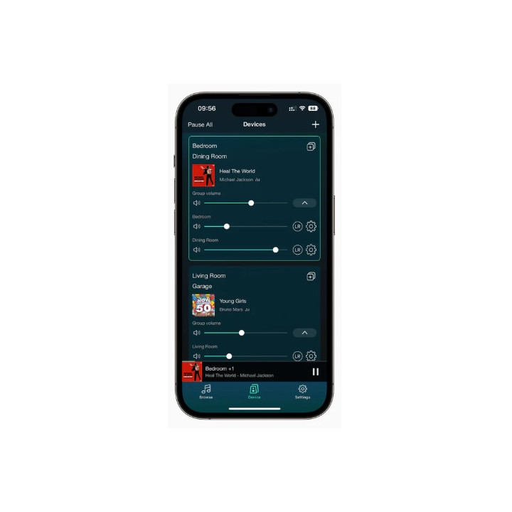 ARYLIC S10+ odtwarzacz sieciowy Wi-Fi Bluetooth