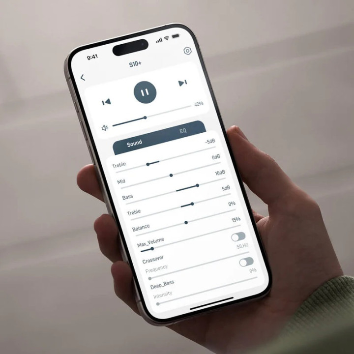 ARYLIC S10+ odtwarzacz sieciowy Wi-Fi Bluetooth