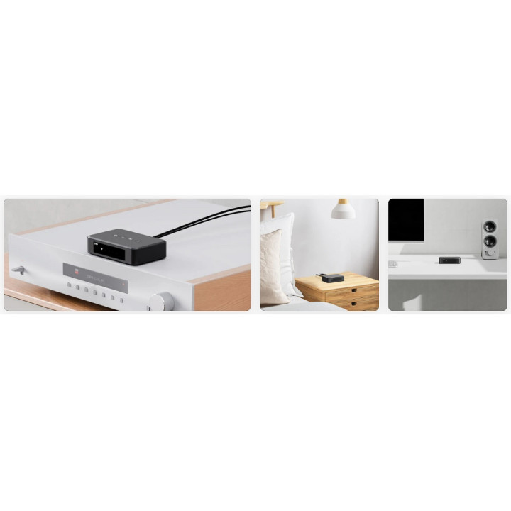 ARYLIC S10+ odtwarzacz sieciowy Wi-Fi Bluetooth